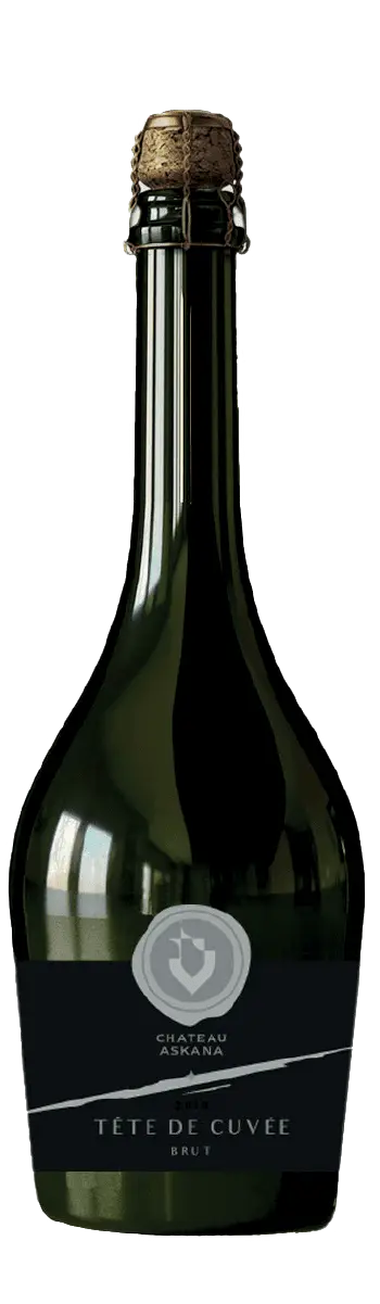 ტეტე დე ქუვე ბრუტი